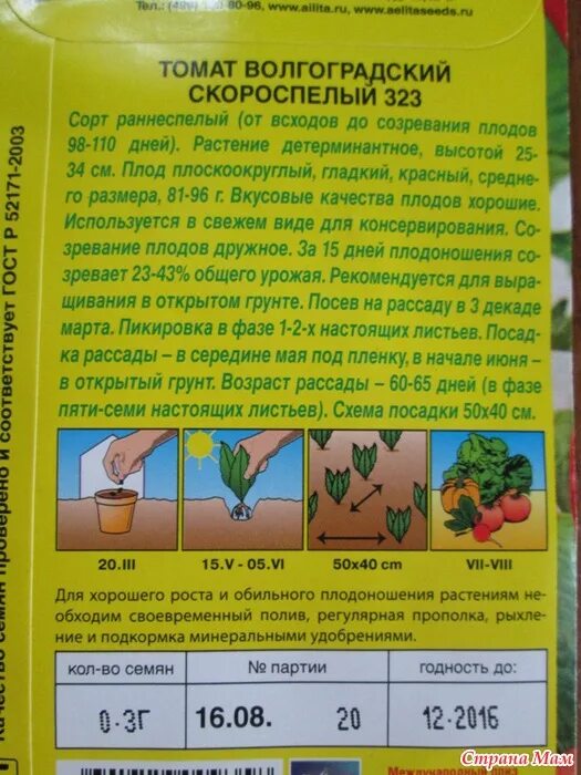 Томат Волгоградский скороспелый 323 рассада. Король ранних всходы томата. Баклажан Уральский скороспелый. Удобрение в колышках. Волгоградский скороспелый томат 323 характеристика и описание