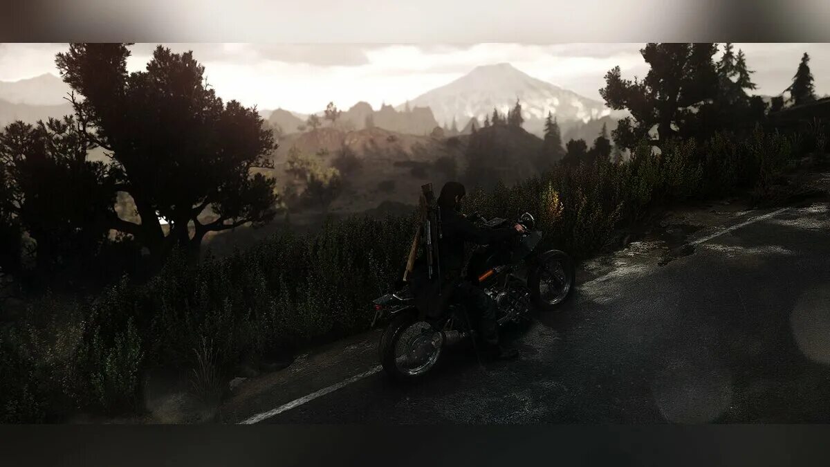 Days gone моды. Days gone трейнер.