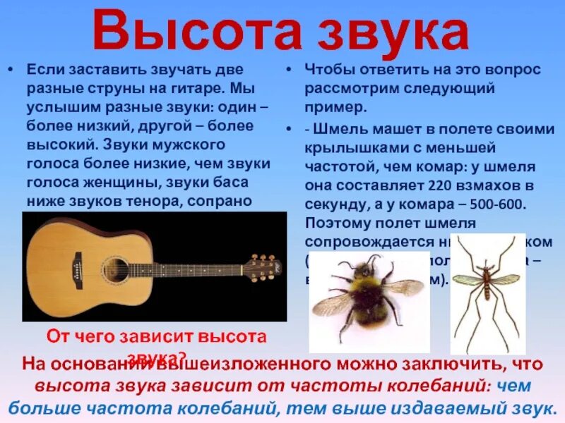 Звуки не имеющие определенной высоты