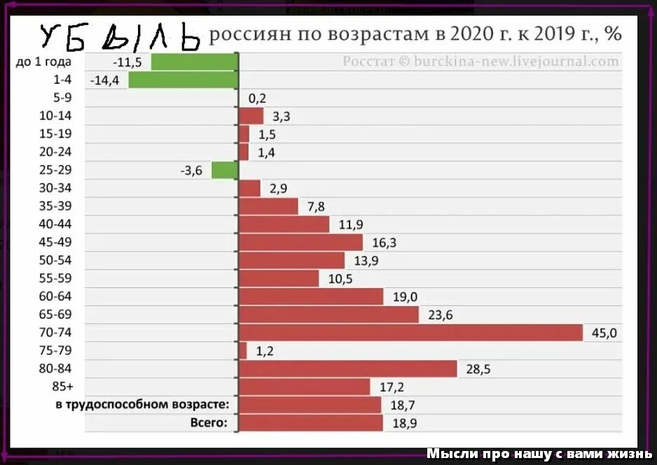 Будет снижен пенсионный возраст в 2024. Статистика младенческой смертности в России 2021. Бюджет России по годам. Число пенсионеров в России в 2023 году. Демография России.