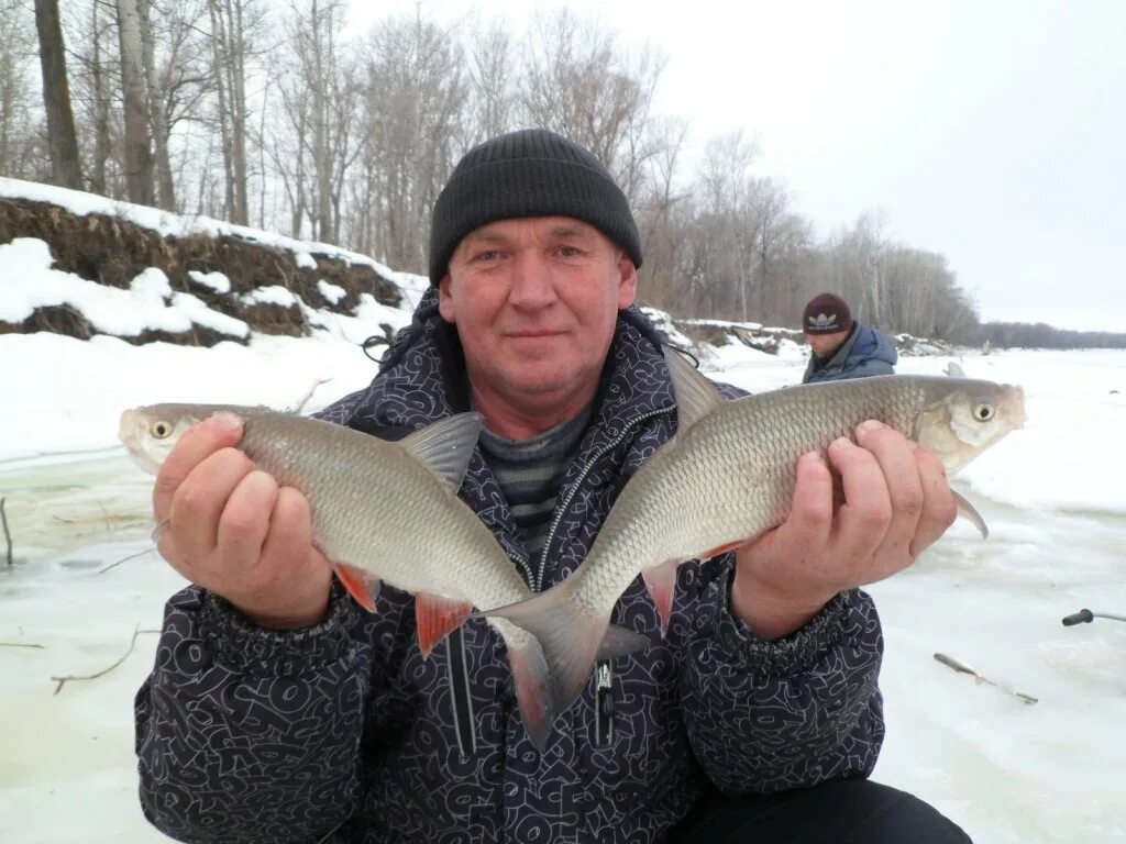 Рыбалка в новосибирской области вести с водоемов. Вести с водоемов овх. Вести с водоемов овх. Фишинг сиб в новосибирске вести с водоемов овх. Вести с водоемов овх.