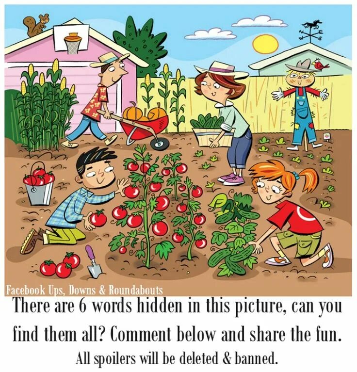 We can find a lot