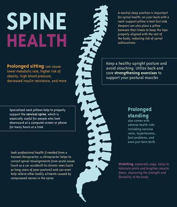 Spine дата выхода. Spine. healthy spine. spine chiropractic. spine pro.