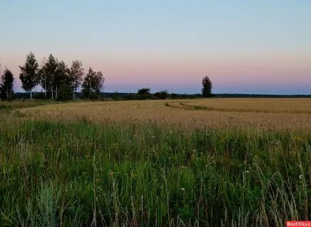 Рязанская природа