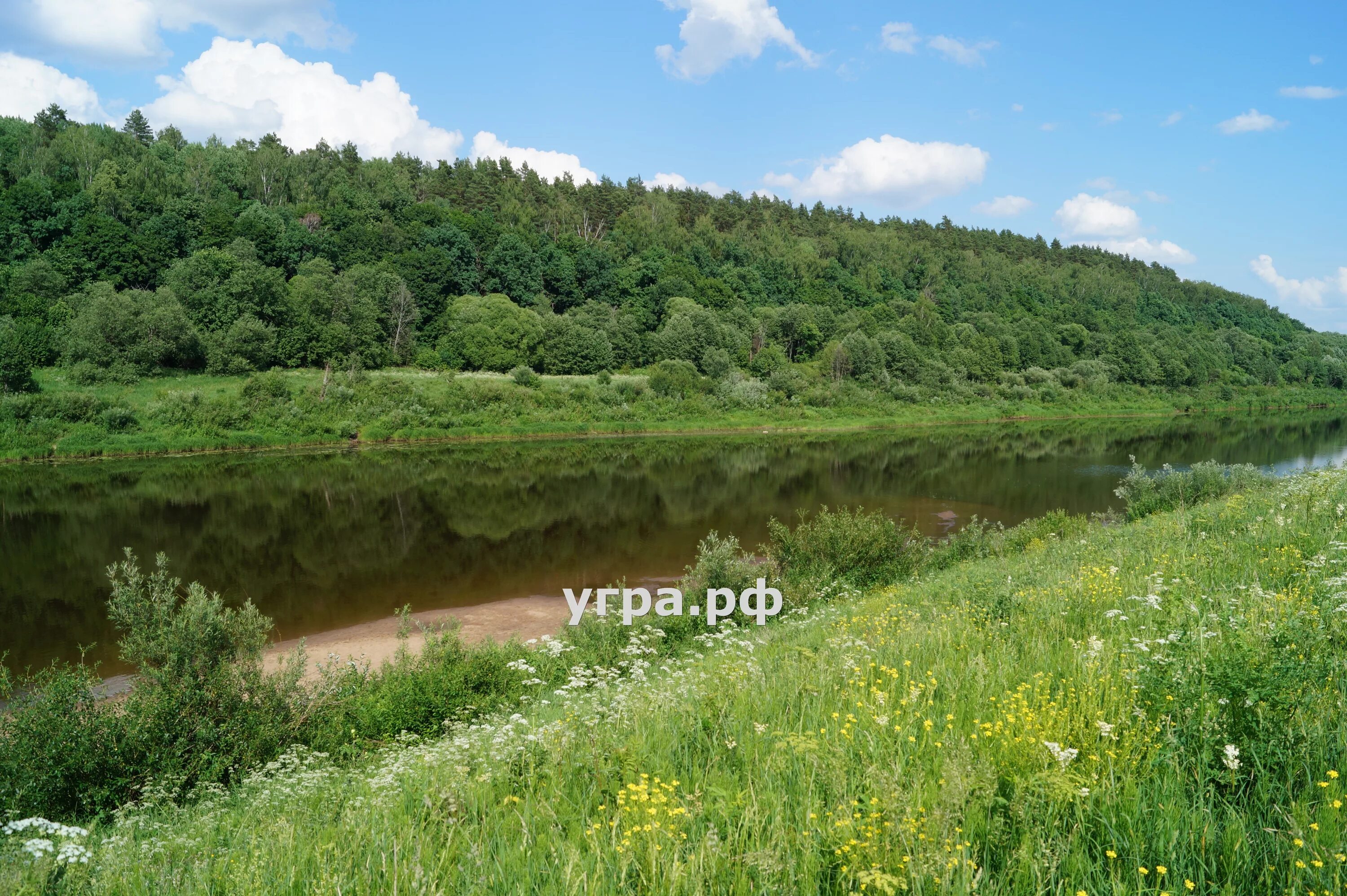 Угра подъем воды. Национальный парк Угра Юхнов. Река Угра Калужская область. Якшуново Калуга Угра. Поселок Якшуново река Угра.