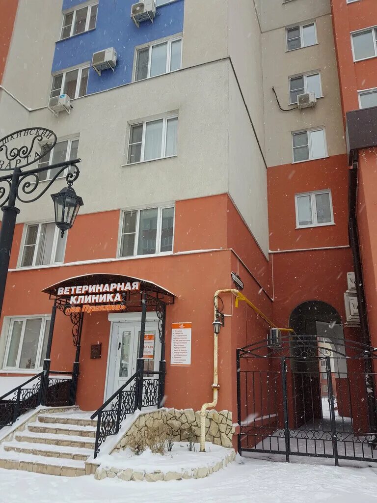 Пушкино 43 пенза. Г. Пенза ул пушкина 43а на карте. Дом пушкина 43 ул. Ул пушкина 43 пенза.