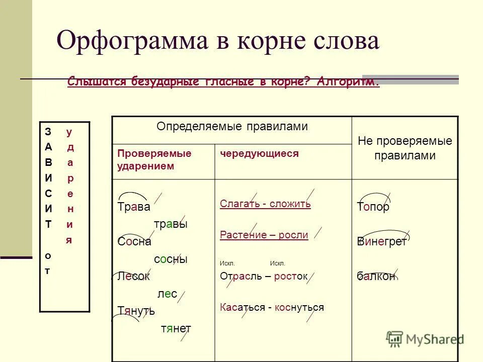 Отметь орфограммы в корне