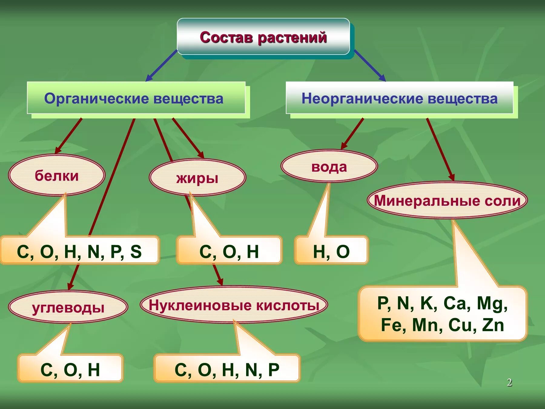 Неорганические соединения состоят из. Какие элементы входили в состав органических соединений?. Химические элементы, входящие в состав органических соединений. Органические и неорганические вещества растений. Органические вещества и неорганические вещества.