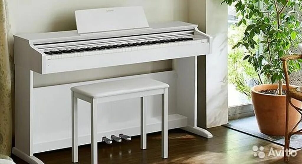 Celviano ap-270. Celviano ap 270we. Celviano ap 270we. Банкетка для фортепиано. Celviano ap 270we.