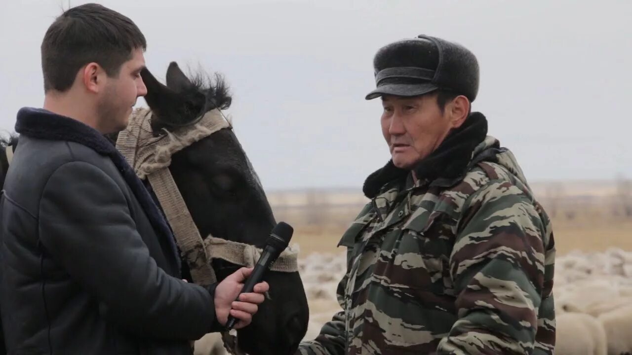 Погода в линевке соль илецкого. Село линевка. покровка соль-илецкий район. линевка сельсовет. патриоты села линёвка.