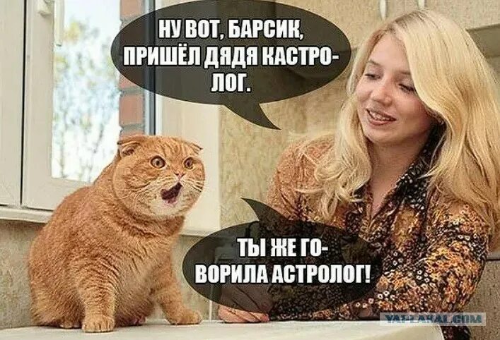 Пришел покормить кота а тут клининг