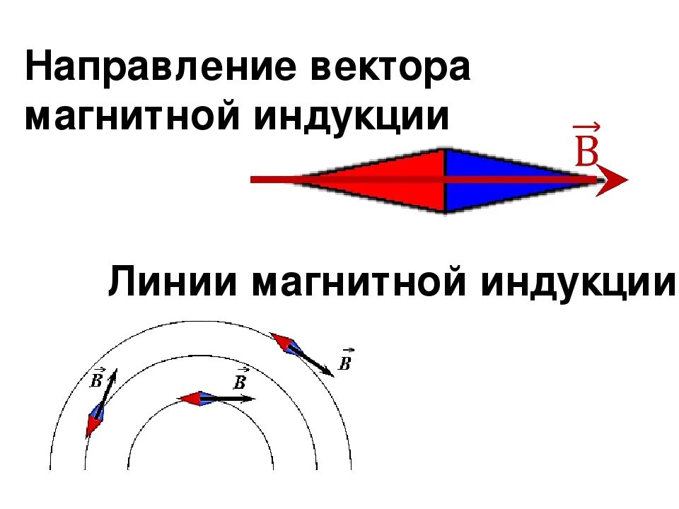 Направление магнитной линии рисунок. Вектор магнитной индукции направление вектора магнитной индукции. Вектор магнитной индукции линии магнитной индукции. Направление вектора магнитной индукции на схеме. Как определить величину вектора магнитной индукции.