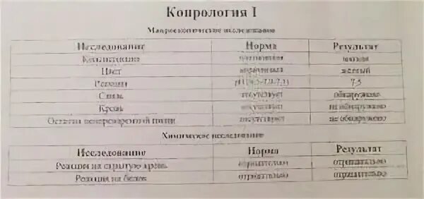 Анализ кала по столу - 86 фото