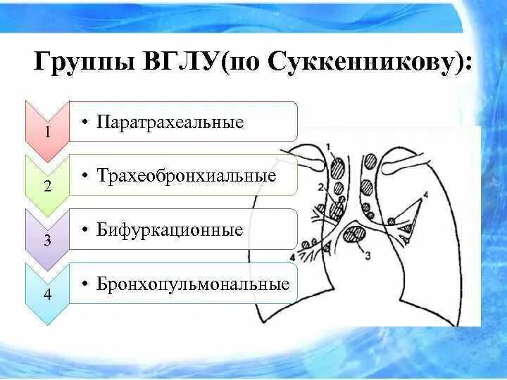 Увеличение внутригрудных лимфатических узлов. Внутригрудные лимфатические узлы. группы внутригрудных лимфоузлов. внутригрудные лимфатические узлы группы. схема внутригрудных лимфатических узлов по сукенникову.