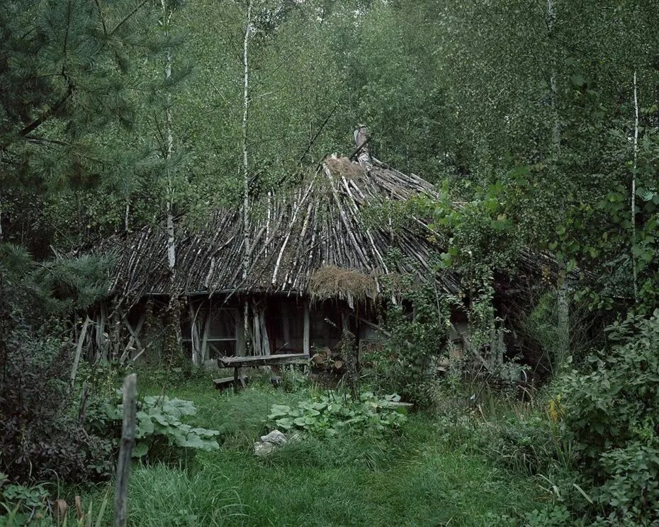 Жизнь в лесу отшельники. Боровецкий лес дом отшельника.