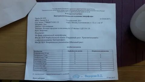 Сэс результаты
