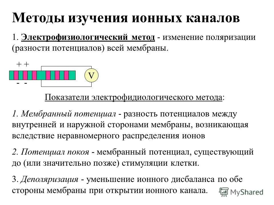 электрофизиологические методы. электрофизиологическое исследование (эфи). современные электрофизиологические методы исследования. электрофизиологические методы исследования. электрофизиологические методы исследования.