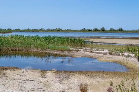 Кинбурнская коса региональный ландшафтный парк