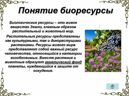 Краткая характеристика благоприятных природных ресурсов