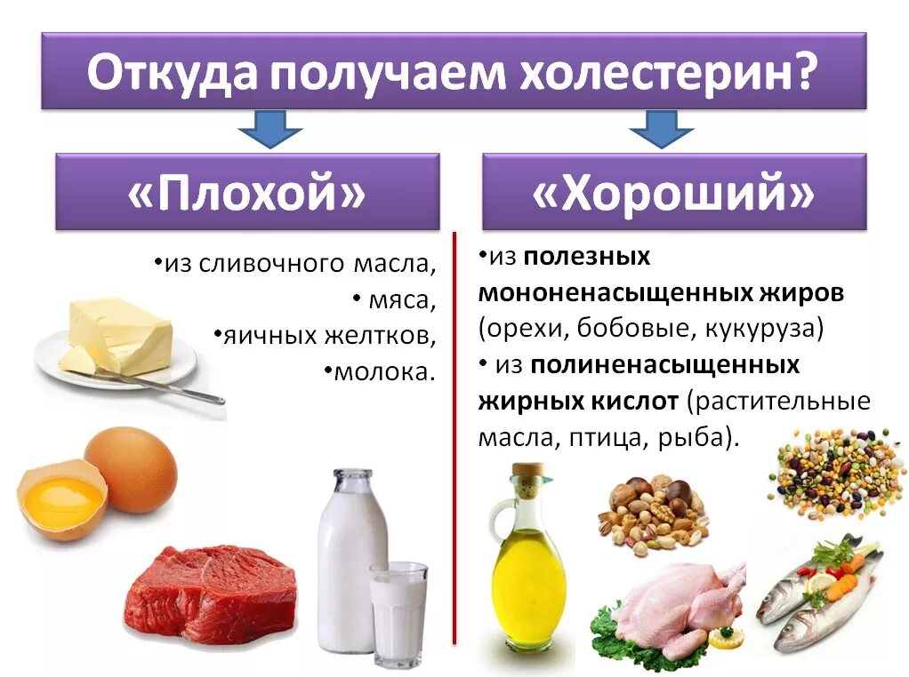 Холестерин. Продукты с плохим холестерином. Вредный и полезный холестерин. Продукты понижающие холестерин.