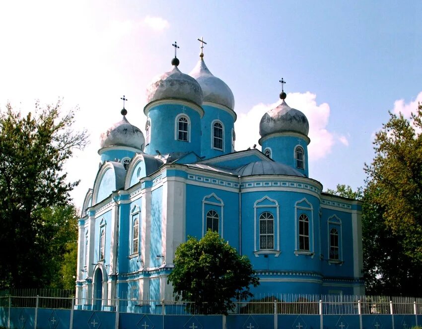 Село алексеевка белгородская область корочанский