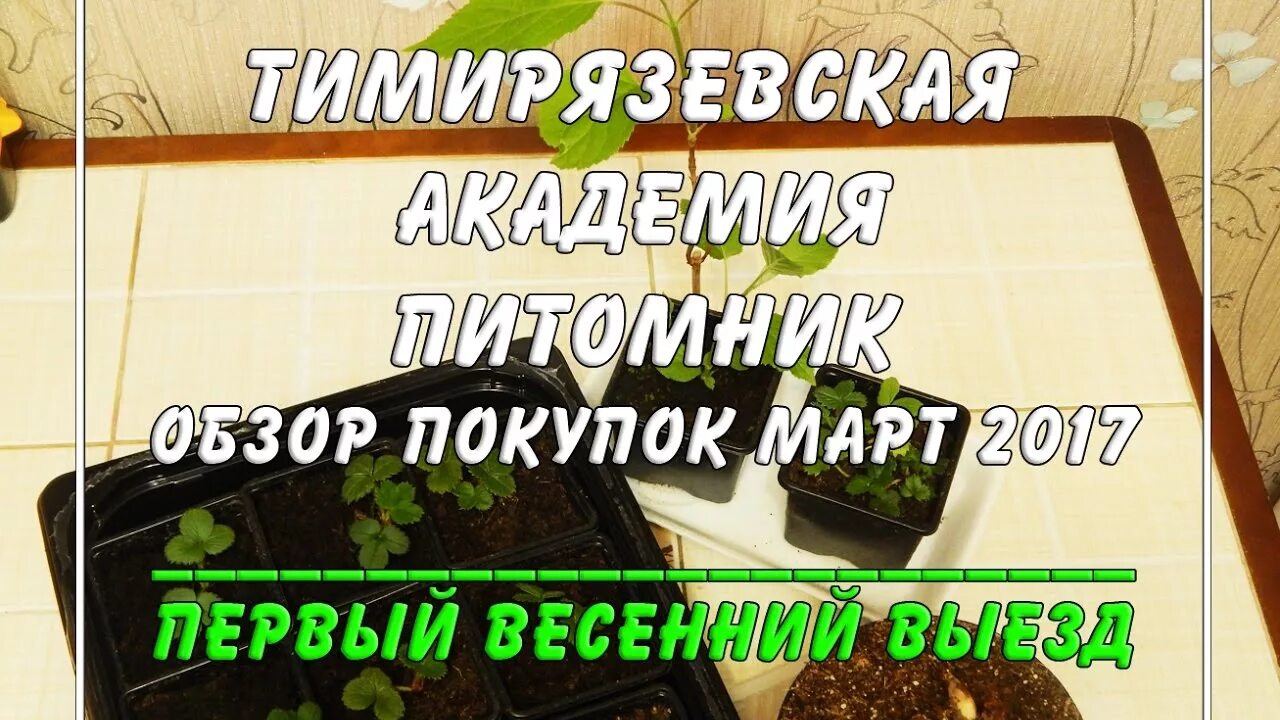 Мсха тимирязева питомник. Тимирязевская Академия питомник растений. Тимирязевский питомник. Питомник растений Тимирязевский. Питомник Тимирязевской Академии Калуга.