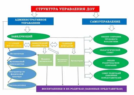 Органы управления дошкольной образовательной организацией