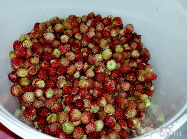 Варенье из лесной клубники с плодоножками рецепт. Варенье из лесной клубники с плодоножками рецепт. Варенье из земляники лесной. Варенье из лесной клубники с целыми ягодами. Земляничное варенье с хвостиками.