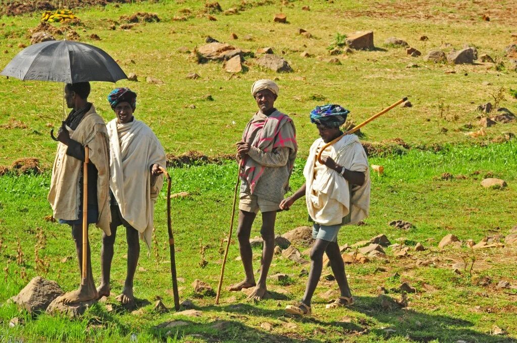 Народы Эфиопии. Занятость населения Эфиопии. Эфиопия мальчики на ходулях. Эфиопия люди город.