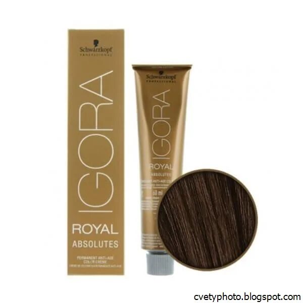 Краска игора для седых. Краска igora royal absolutes палитра. igora absolutes 7-70. igora royal 6-70. schwarzkopf igora royal absolutes палитра.