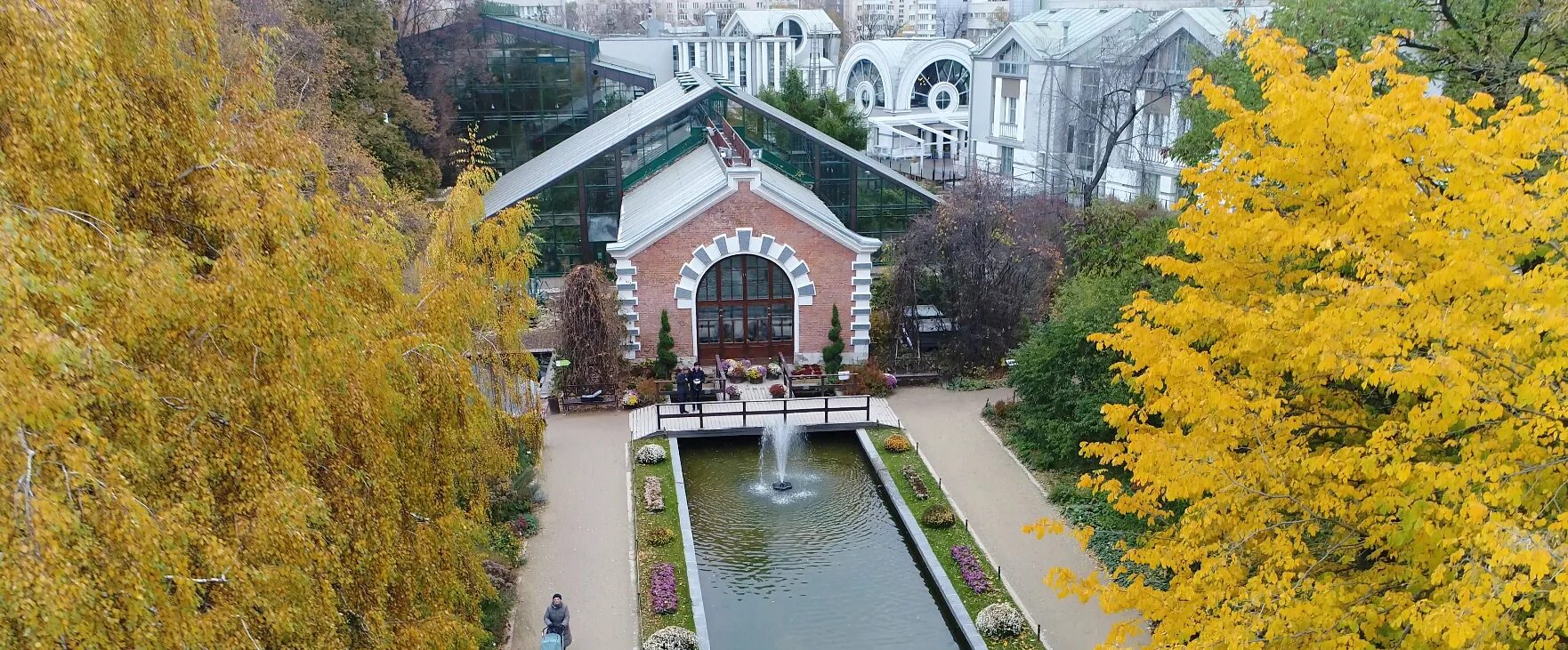 Первый аптекарский огород. Первый аптекарский огород. Ботанический сад в москве при петре 1. Ботанический сад мгу москва. Аптекарский огород петра 1 в москве.