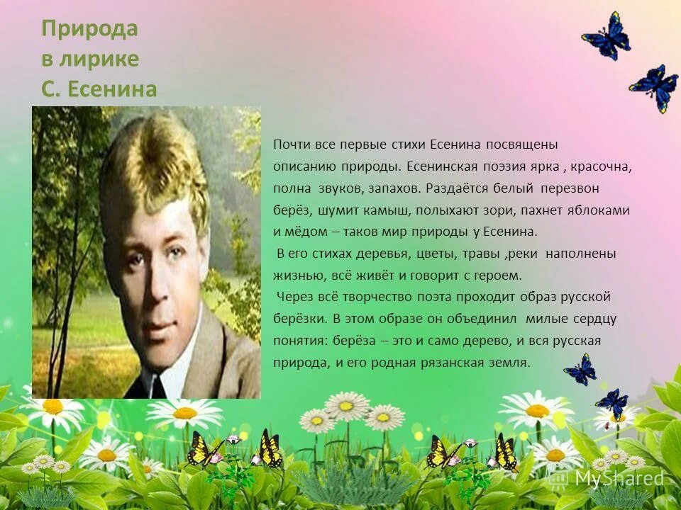 Произведения посвященные родине. Поэты о природе. Произведения поэта о природе. Русская природа в поэзии. Стихи поэтов.