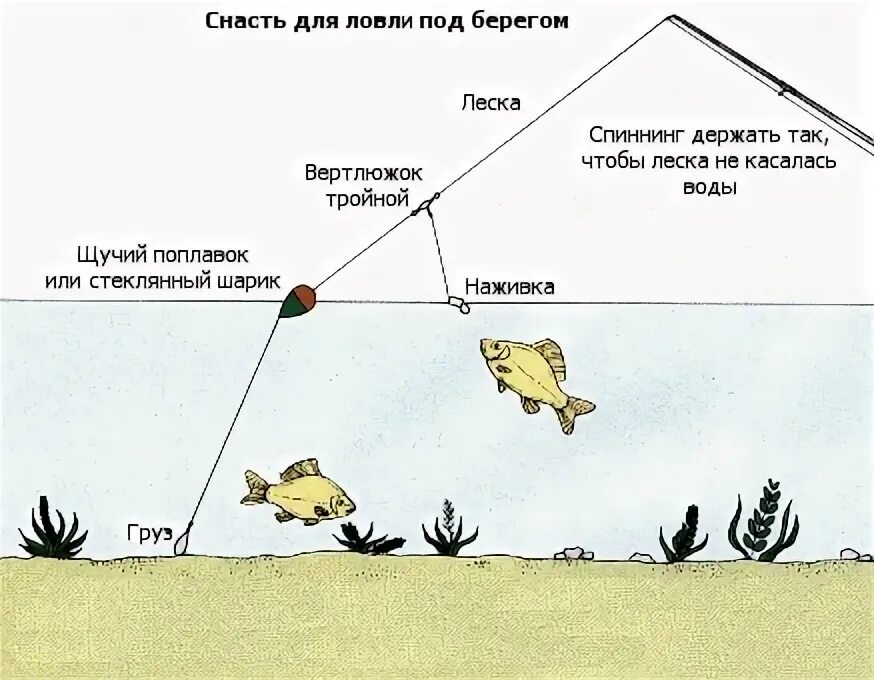 Какую снасть выбрать