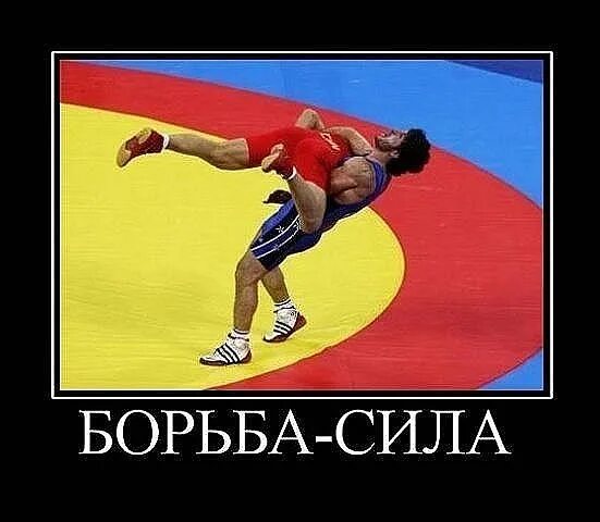 Борьба сила. Северный кавказ борьба. Цитаты про вольную борьбу. Карл адамс армрестлинг. Курамагомед курамагомедов махов билял схватка видео.