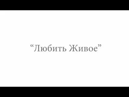Брат таланта