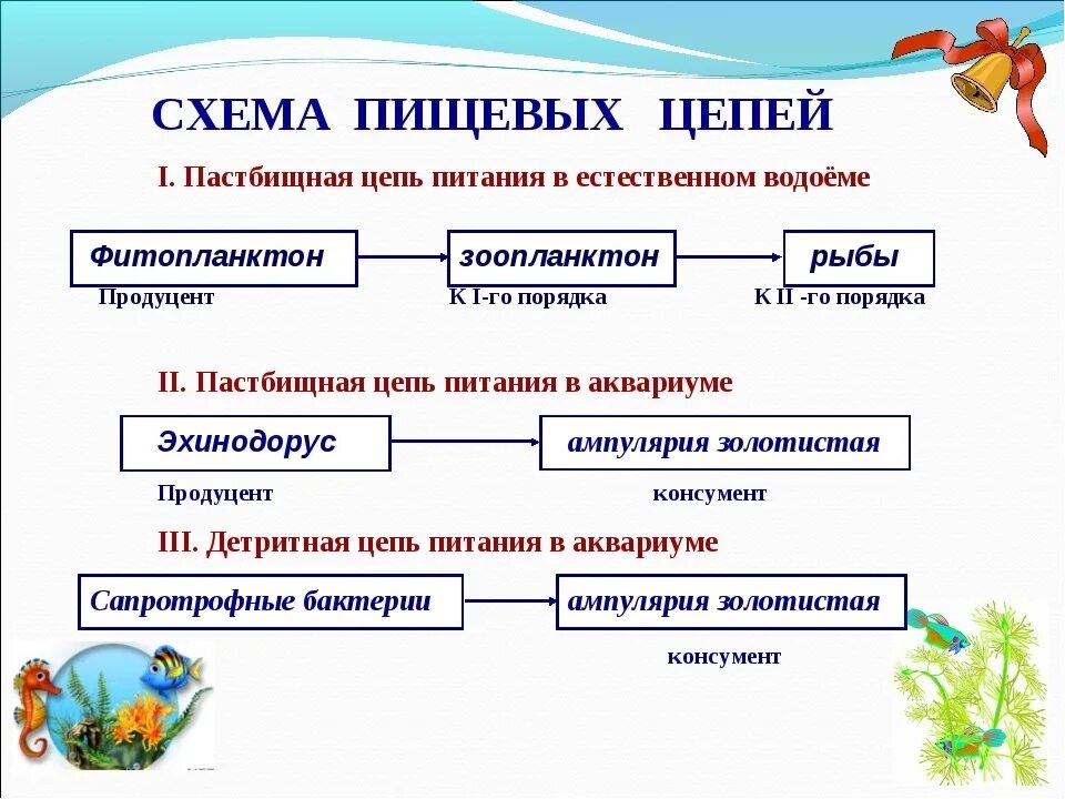 Приведи пример пищевых связей аквариума. Пищевые цепи питания в аквариуме. Составьте пищевые цепи в аквариуме. Пищевая цепь аквариума схема. Пищевые цепи в акарикие.