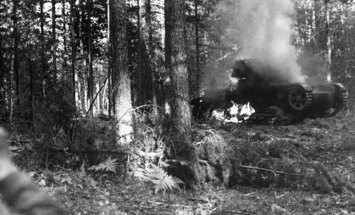 Партизанский лагерь в белоруссии вов. Лес в годы великой отечественной. Арденский лес вторая мировая. Лес в годы великой отечественной. Лес в годы великой отечественной.