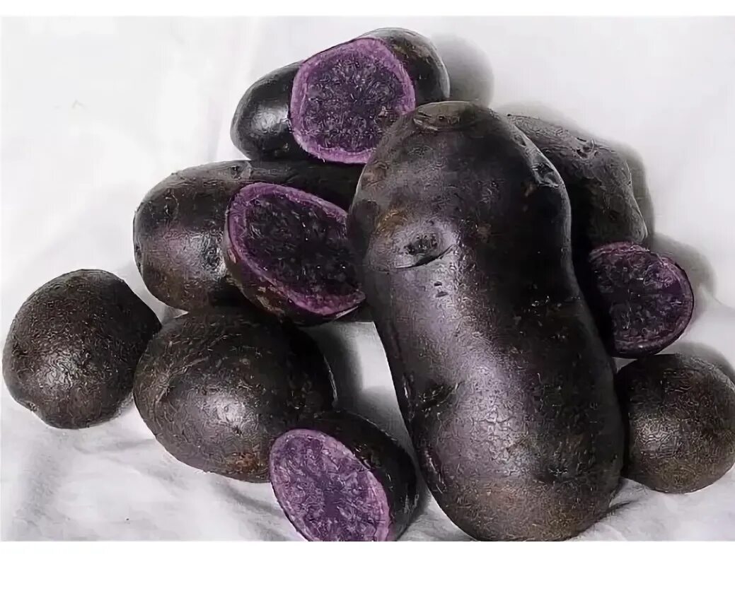 Сорта картофеля черный принц. Сорт картофеля перуанский фиолетовый (purple peruvian). Сорт картошки негритенок. Картофель черный принц. Черный картофель фото.