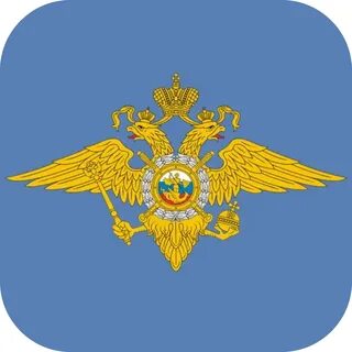 Информационные центры органов внутренних дел