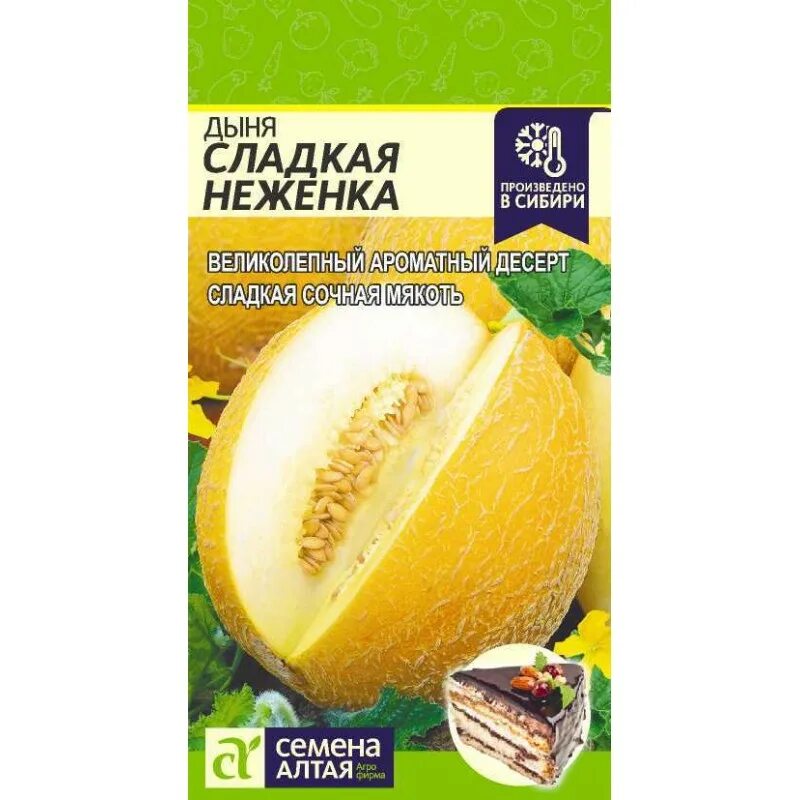 Дыня сладкая сладкая описание