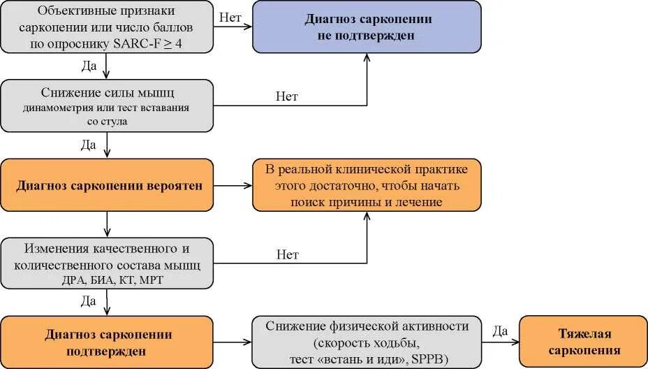 Саркопения это простыми словами. Алгоритм диагностики саркопении. Саркопения тест вставания со стула. Алгоритм диагностики саркопении EWGSOP. Опросник саркопении.