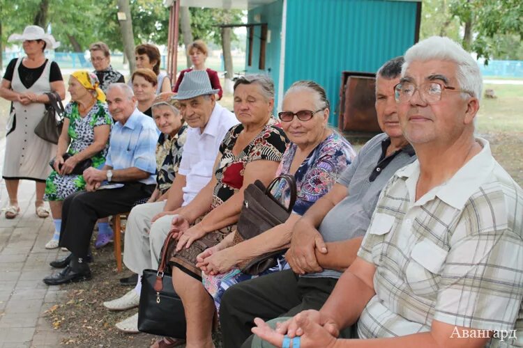 станица новосергиевская крыловский район. администрация сельского поселения станица крыловская. станица новопашковская крыловского района краснодарского края. новопашковская. новопашковская крыловский.