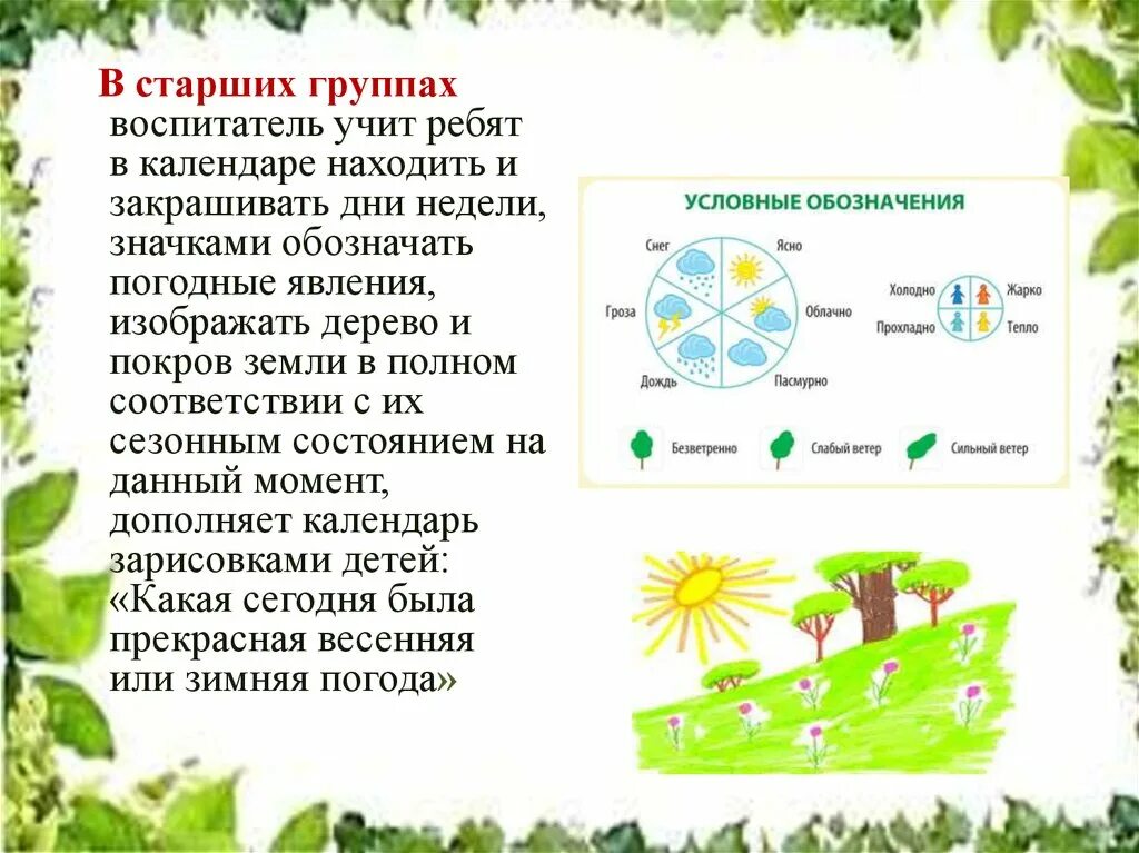 Уголок природы задачи. Организация уголка природы в ДОУ. Перечень уголка природы. Работа с детьми в уголке природы в старшей группе. Сезонные объекты уголка природы в детском саду.