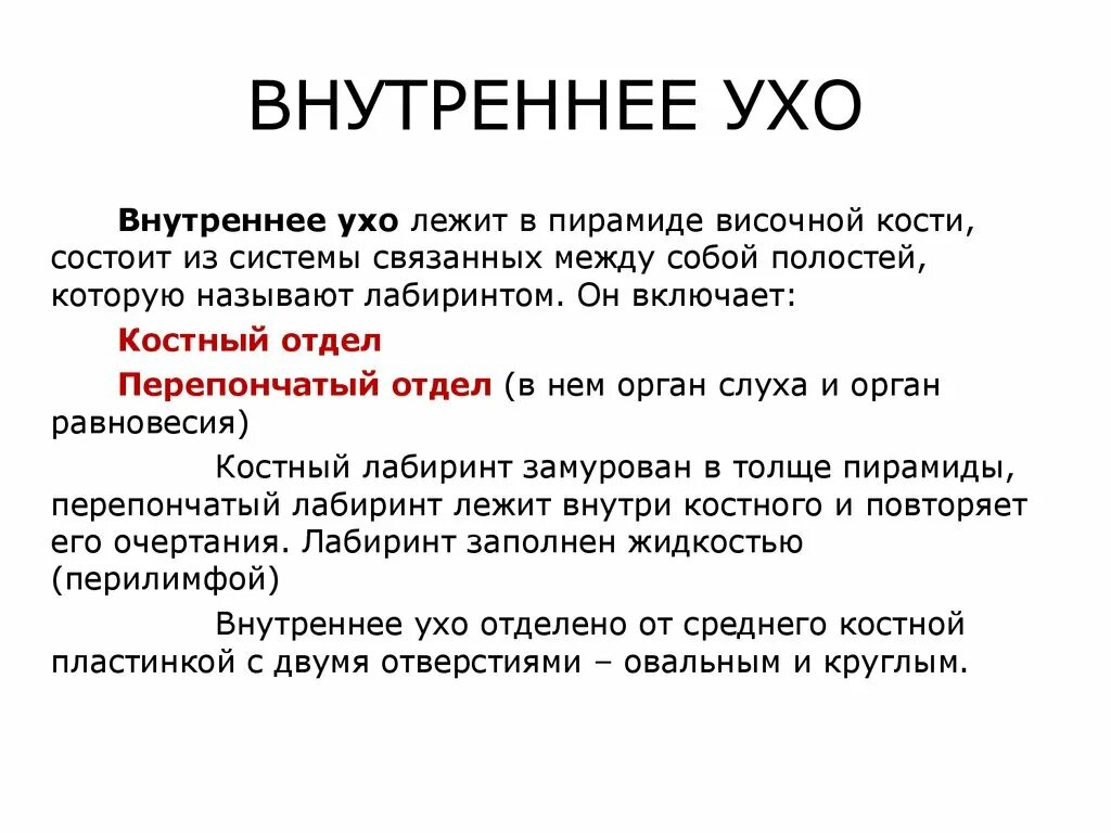 Среднее и внутреннее ухо функции. Внутреннее ухо функции. Функции внутреннего уха.