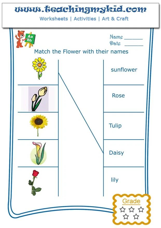 Flower exercise. Worksheets цветы for kids. parts of the flower worksheets. names of flowers worksheet. сад worksheets for kids.