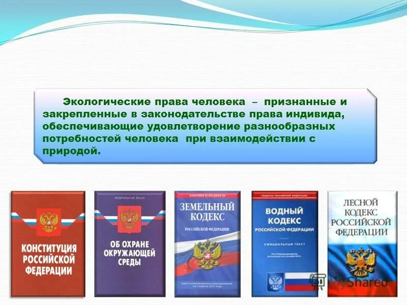 признанные и закрепленные