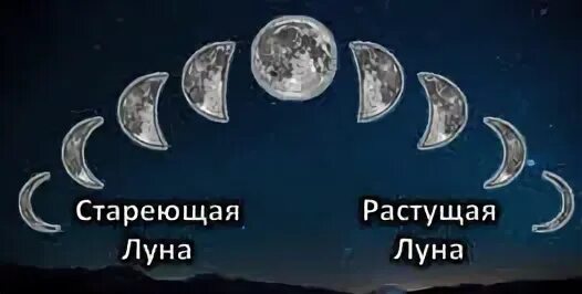 Как определить растет