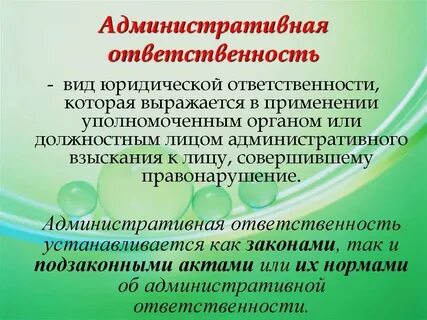 Административная это применение уполномоченным органом