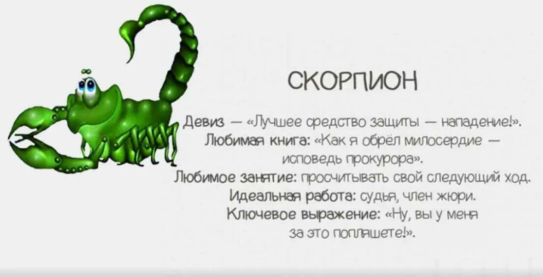 Гороскоп скорпион с 8 по 14 апреля. Характеристика по знаку зодиака Скорпион женщина. Скорпион шуточный гороскоп. Смешной гороскоп Скорпион. Скорпион прикольный гороскоп.