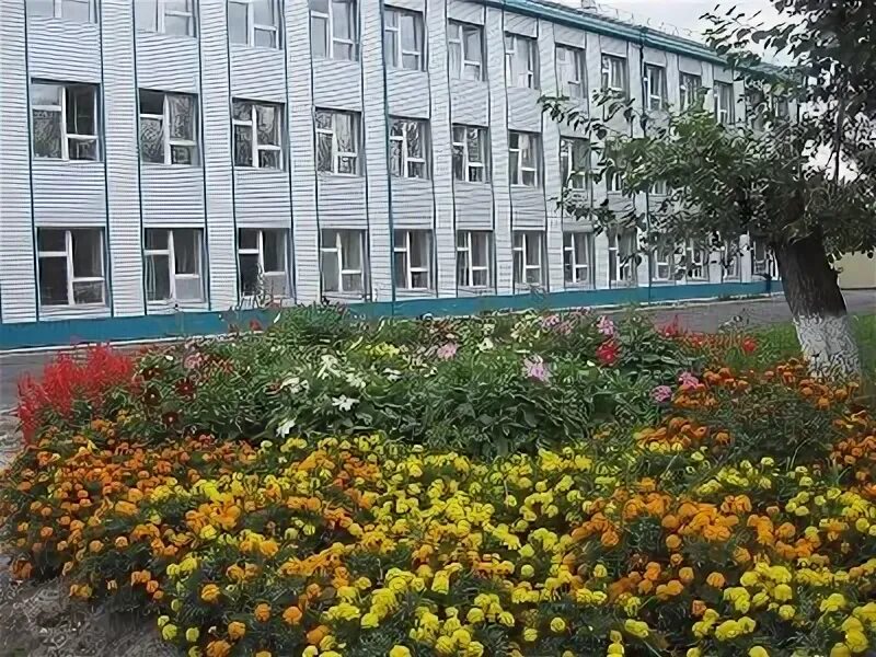 Новая боровая школа будущего. 1 школа боровая. Новая боровая школа будущего. 1 школа боровая. Новая боровая школа.